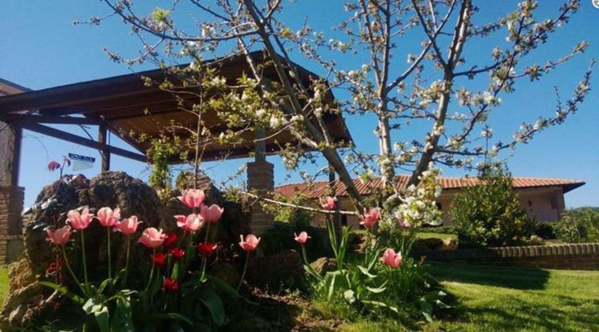 Villa La Mandriana à Massa Marittima Extérieur photo