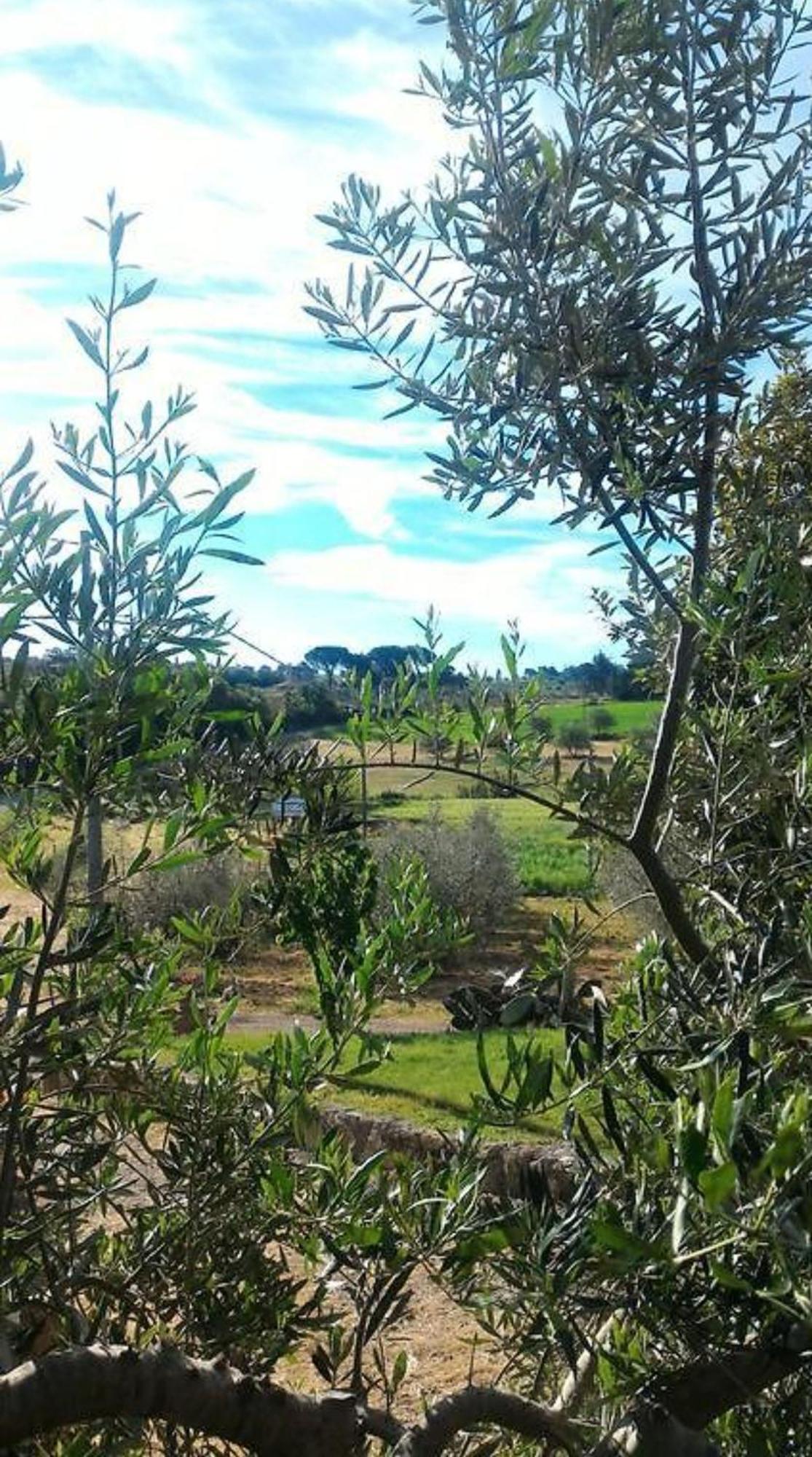 Villa La Mandriana à Massa Marittima Extérieur photo