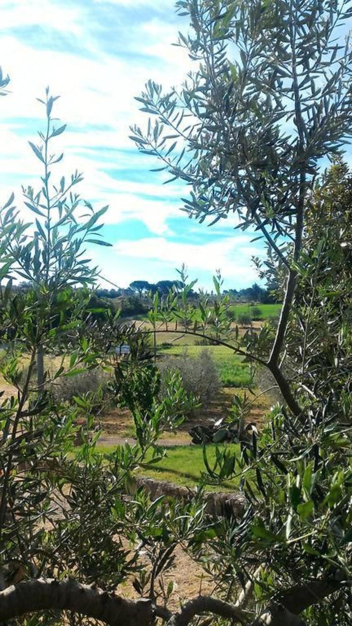 Villa La Mandriana à Massa Marittima Extérieur photo